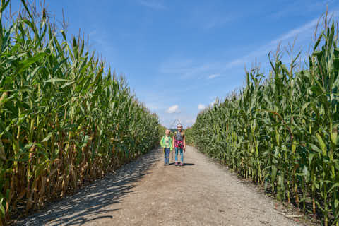 Gemeinde Atting Landkreis Straubing-Bogen Irrgarten Straubing (Dirschl Johann) Deutschland SR
